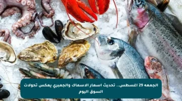 الجمعة 29 أغسطس.. تحديث أسعار الأسماك والجمبري يعكس تحولات السوق اليوم